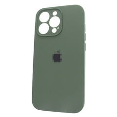 Чехол Silicone Case Full Camera для iPhone 12 Pro Cyprus Green