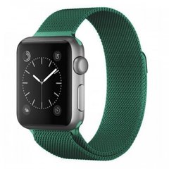 Металлический ремешок Milanese Loop для Apple Watch (42mm, 44mm, 45mm, 49mm Forest Green)