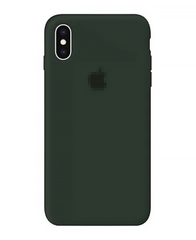 Чехол Silicone Case для iPhone X/Xs FULL (№49 Forest Green)