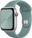 Силиконовый ремешок для Apple Watch (38mm, 40mm, 41mm, №61 Cactus, S)