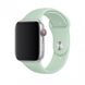 Силиконовый ремешок для Apple Watch (42mm, 44mm, 45mm, 49 mm №59 Beryl, S)