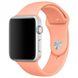 Силіконовий ремінець на Apple Watch (38mm, 40mm, 41mm, №27 Flamingo)