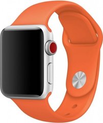 Силіконовий ремінець на Apple Watch (38mm, 40mm, 41mm, №2 Apricot, S)