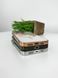 Чохол Brilliant MagSafe Case (iPhone 14 Pro, Gold) 4