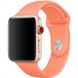 Силіконовий ремінець на Apple Watch (38mm, 40mm, 41mm, №42 Peach)