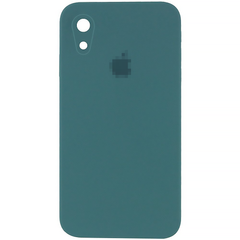 Чехол Silicone Case FULL CAMERA (square side) (для iPhone Xr) (Pine Green)