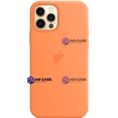 Чохол Silicone Case iPhone 12 | 12 pro FULL (№72 Kumquat)