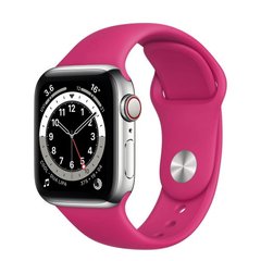 Силіконовий ремінець на Apple Watch (42mm, 44mm, 45mm, 49 mm №54 Dragon Fruite, S)