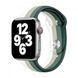 Ремінець райдужний на Apple Watch Sport Rainbow (42mm, 44mm, 45mm, 49mm Green-White)
