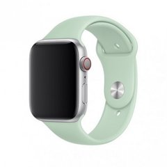 Силіконовий ремінець на Apple Watch (42mm, 44mm, 45mm, 49 mm №59 Beryl, S)