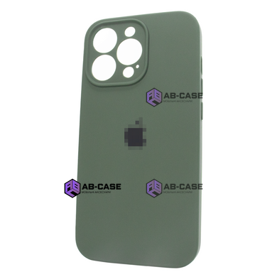 Чехол Silicone Case Full Camera для iPhone 12 Cyprus Green