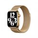 Металічний ремінець Milanese Loop на Apple Watch (38mm, 40mm, 41mm, Gold)