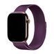 Металлический ремешок Milanese Loop для Apple Watch (38mm, 40mm, 41mm, [42mm Series 10/11], Purple)
